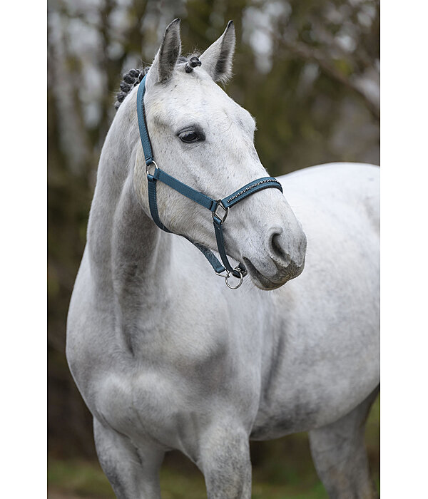 halster Twinkle