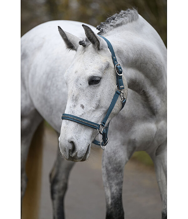 halster Twinkle