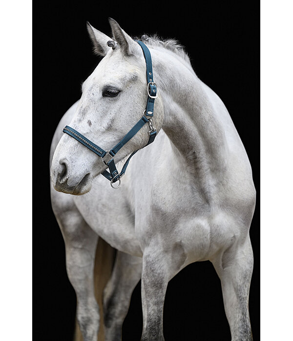halster Twinkle