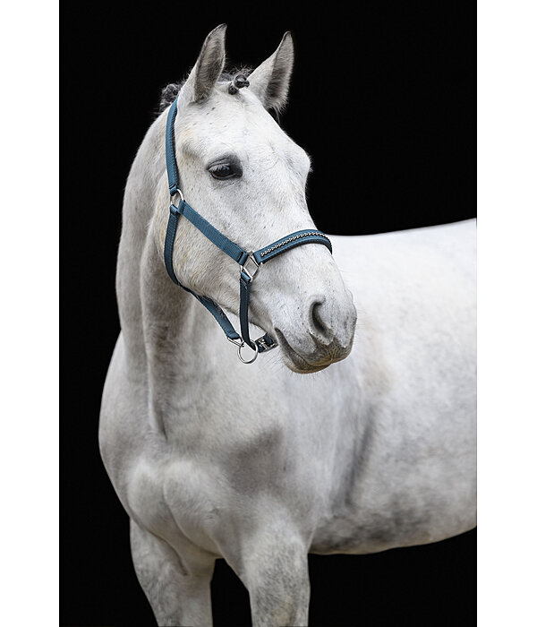 halster Twinkle