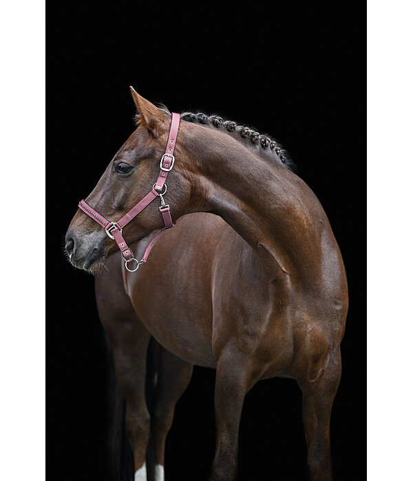 halster Twinkle