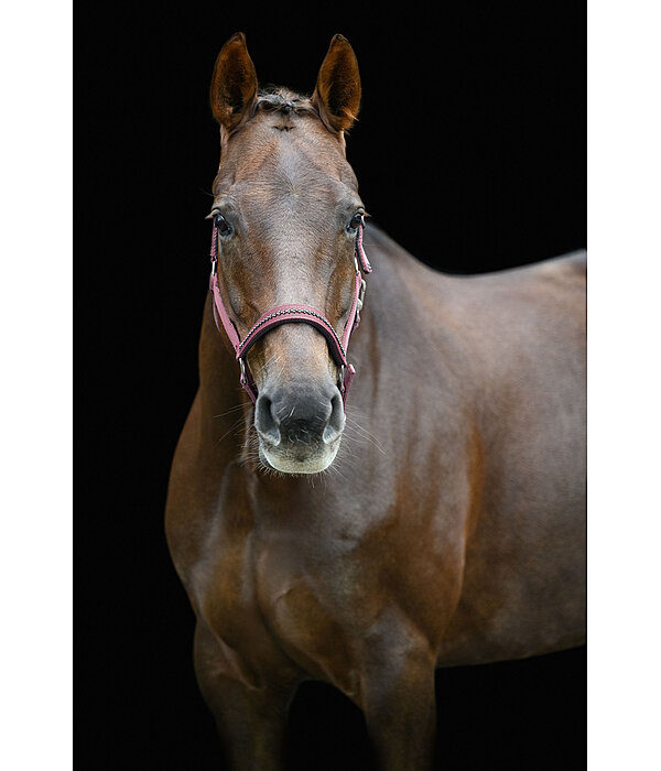 halster Twinkle