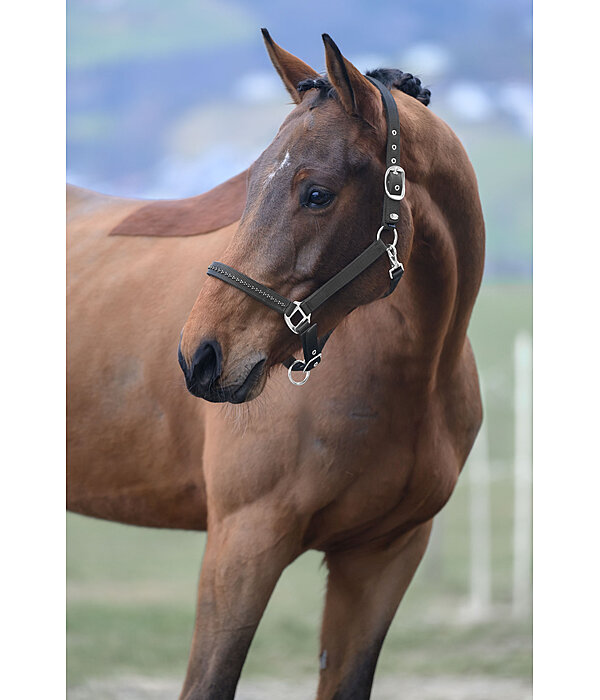 halster Twinkle
