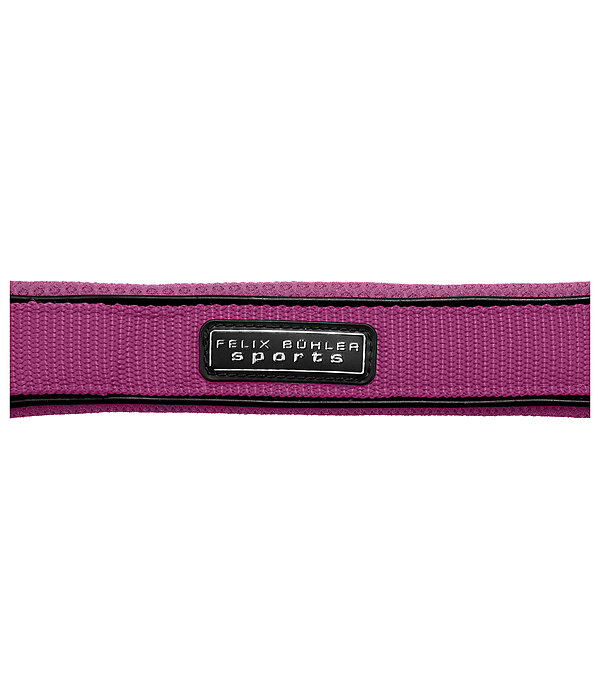 halster Mesh-Technology