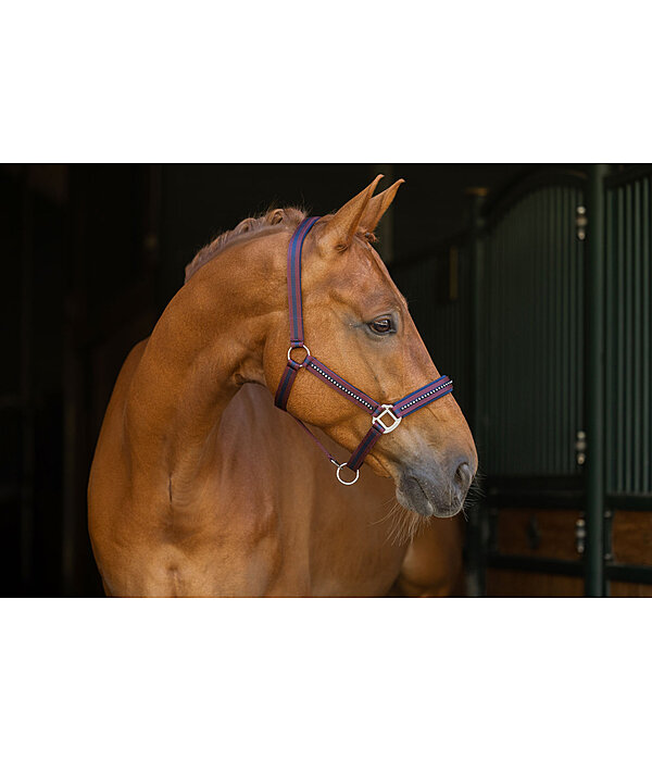 halster Twotone & Crystal