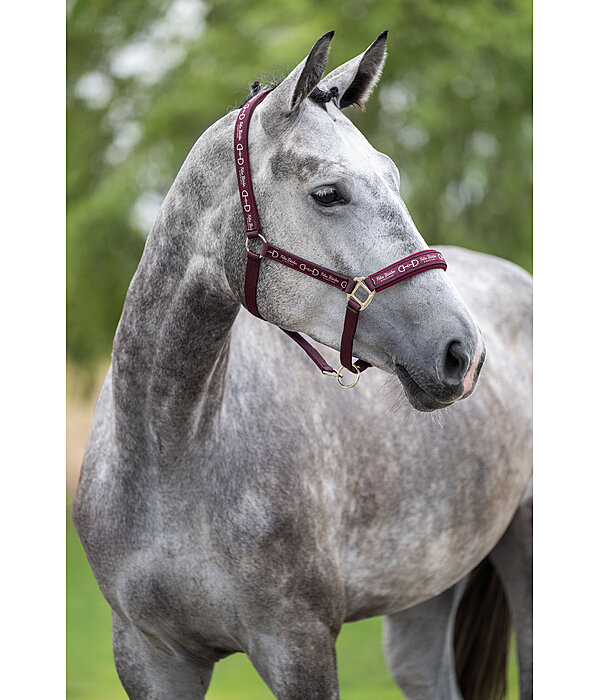 halster Signature III