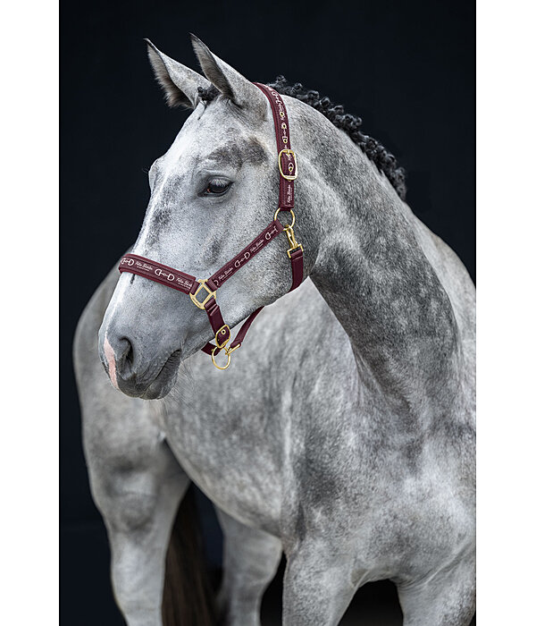 halster Signature III