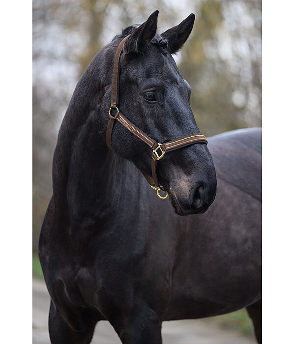 halster Glimmering