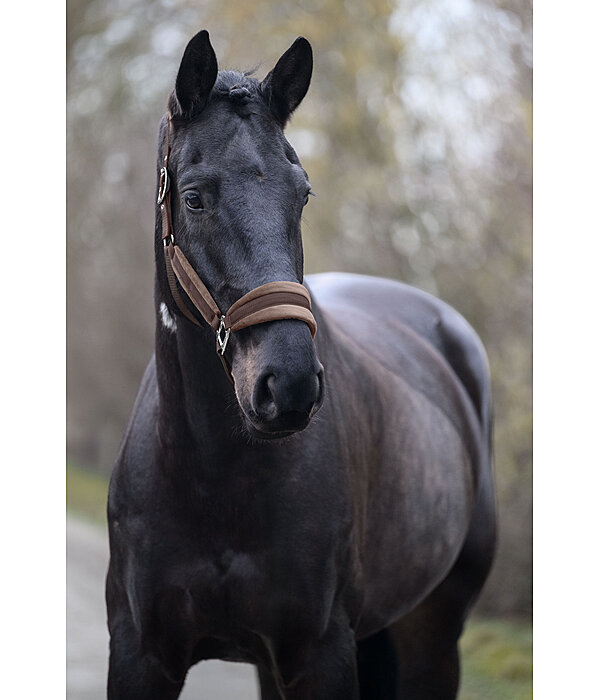 Halfter Velvet