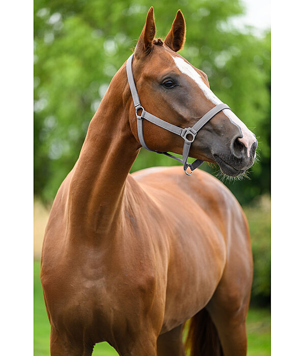 halster Supervoordelig