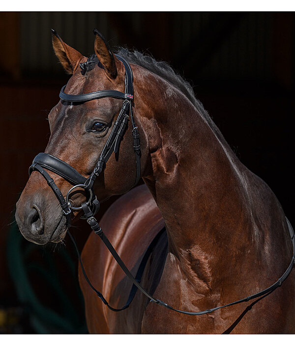 Mix & Match PRO geolied Zweeds lederen halster met afneembare sperriemen