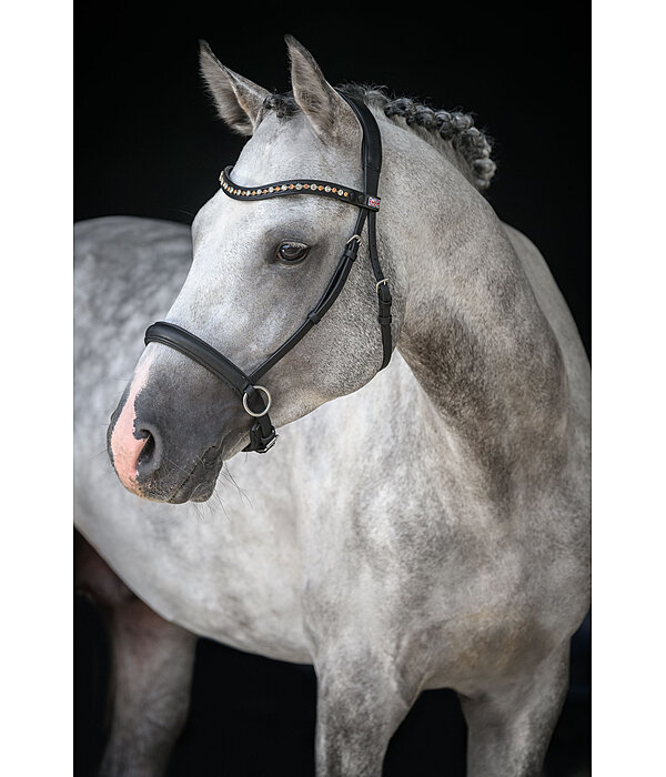 Mix & Match bitloos geolied lederen neusriem