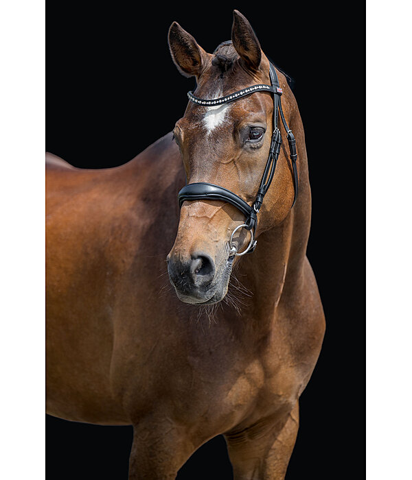 hoofdstel Alaska met afneembare kinriem