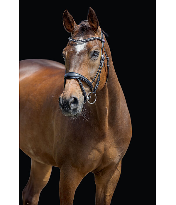 hoofdstel Alaska met afneembare kinriem