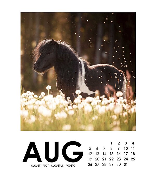 Paardenkalender 2022