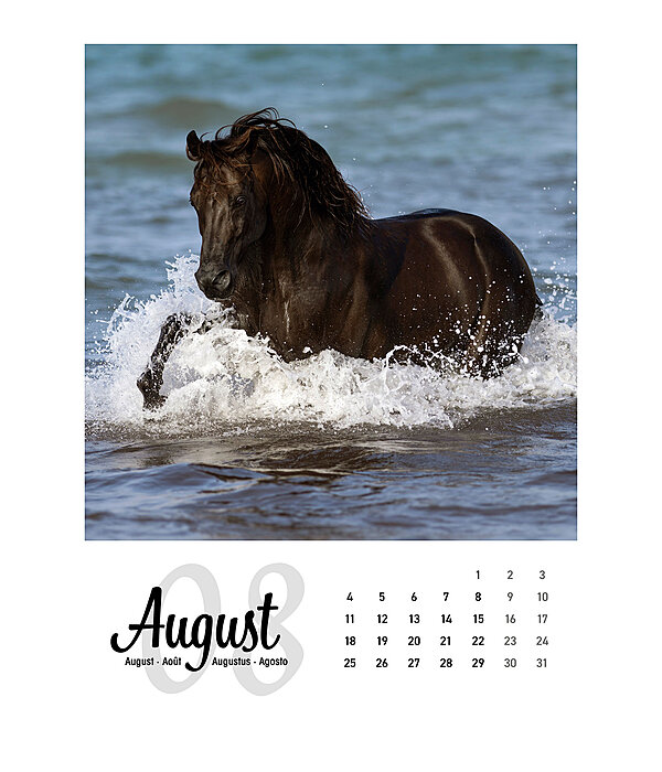Paardenkalender 2024