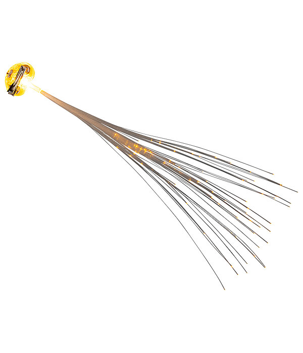 LED staart en manen clip