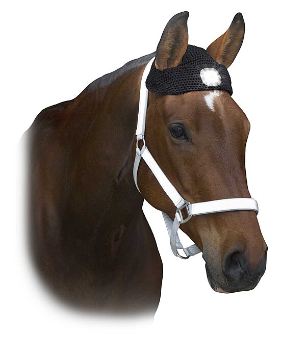 LED hoofdlamp voor paarden