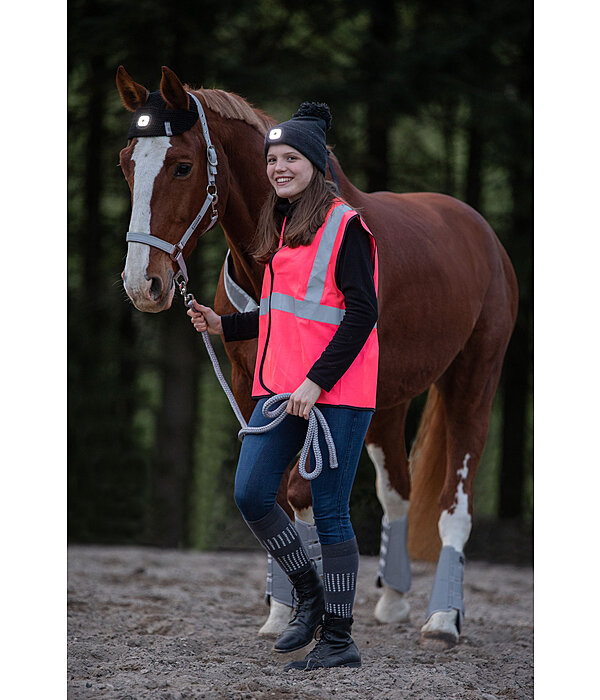 LED hoofdlamp voor paarden