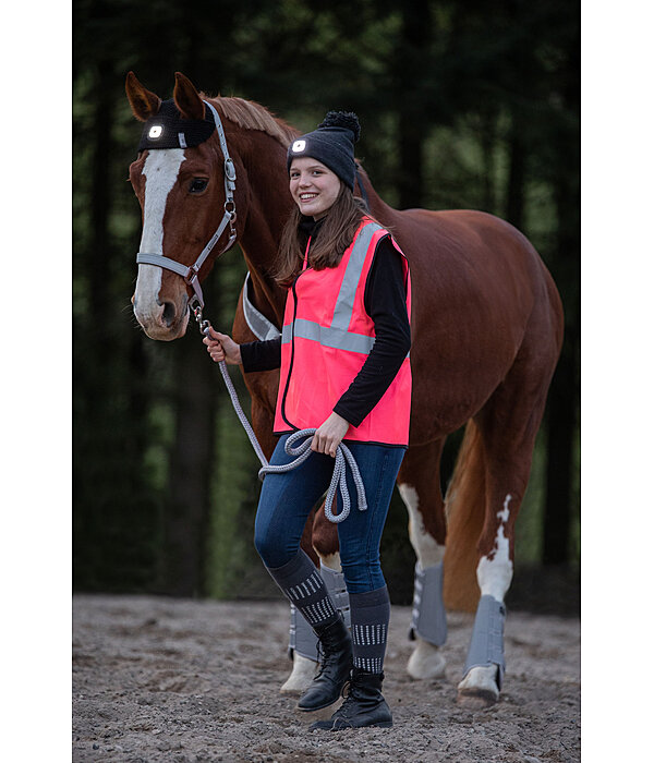 LED hoofdlamp voor paarden