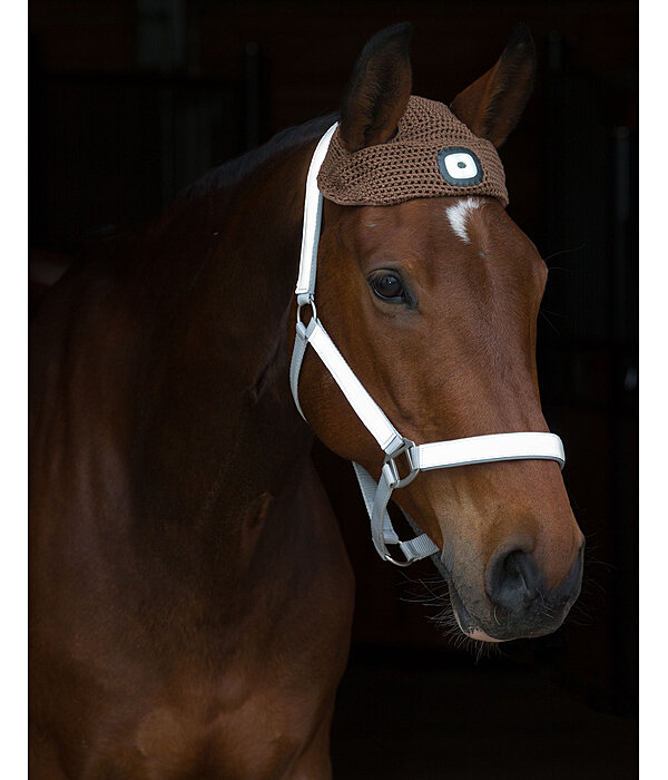 LED hoofdlamp voor paarden