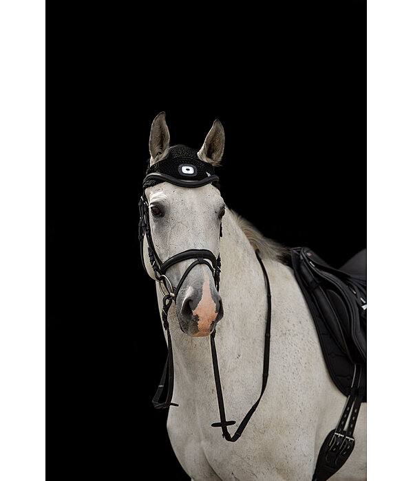 LED hoofdlamp voor paarden