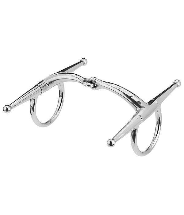 kneveltrens Anatomica
