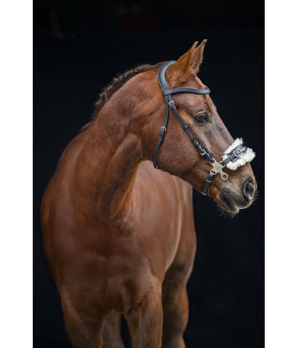 hackamore imitatiebont