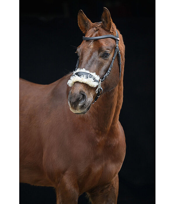 hackamore imitatiebont