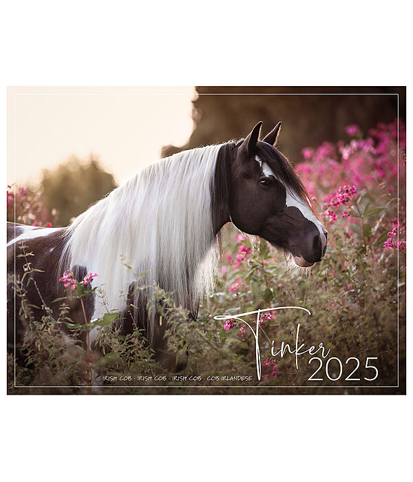 Tinker Kalender 2024