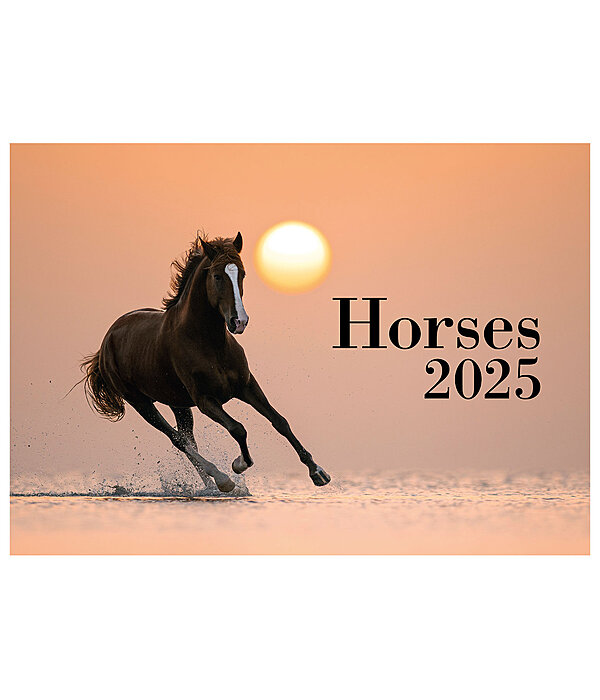 Horses Kalender 2024