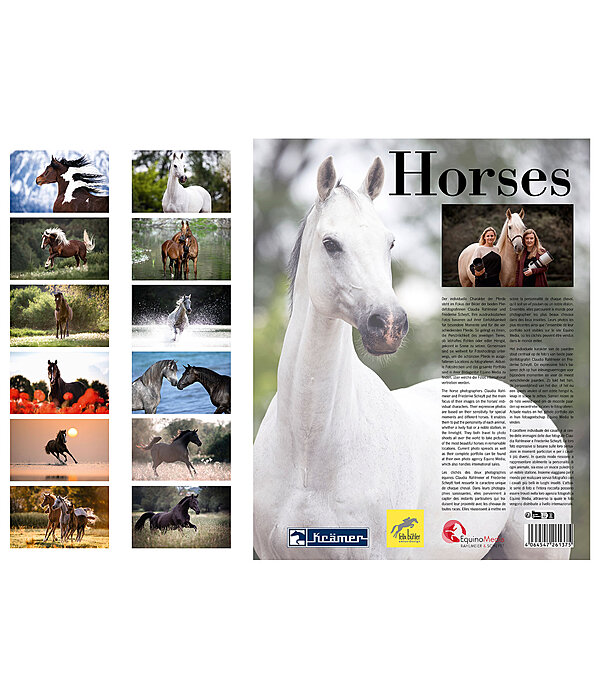 Horses Kalender 2024