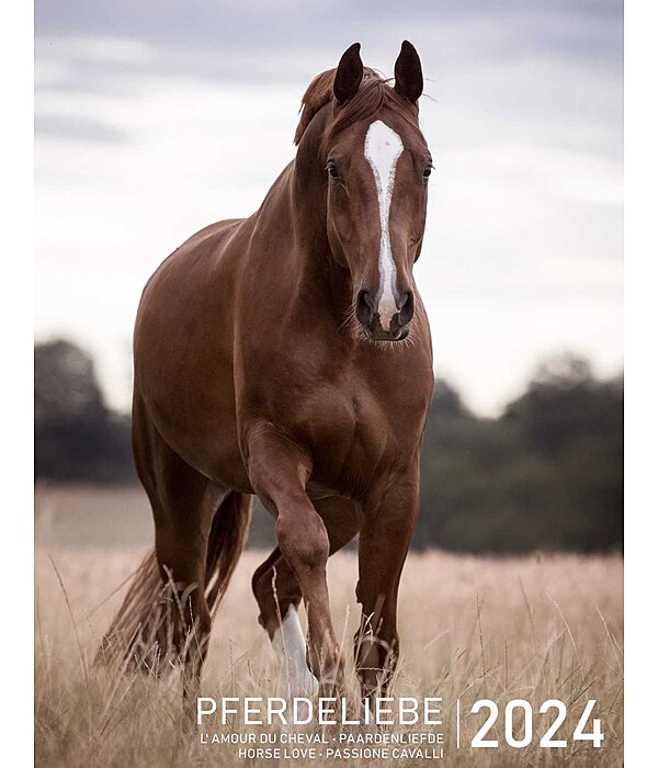 Kalender paardenliefde 2024