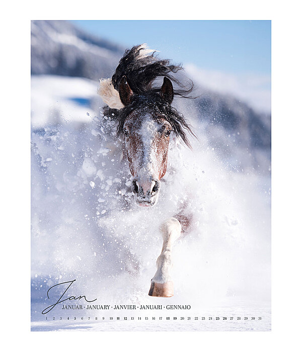 Kalender paardenliefde 2024