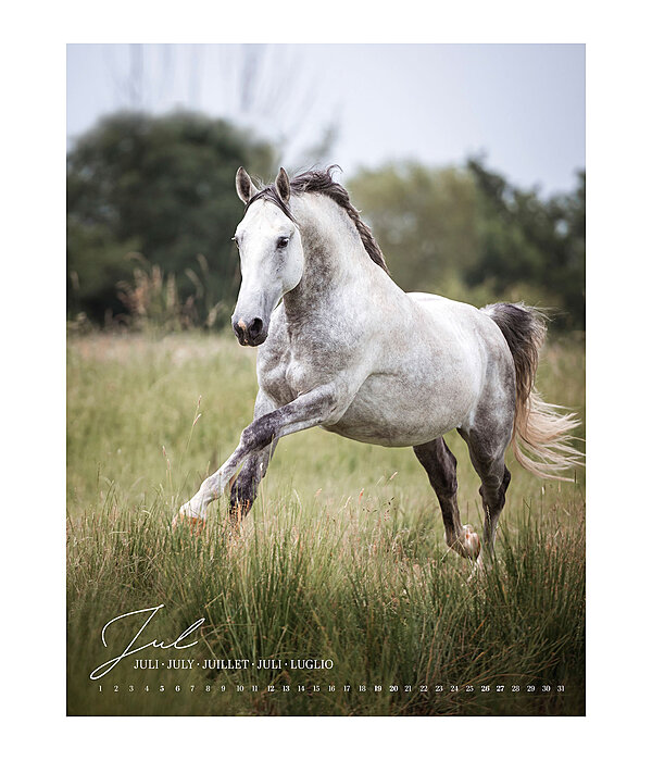 Kalender paardenliefde 2024