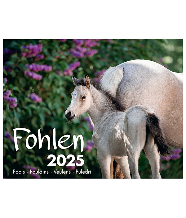 Veulen kalender 2024