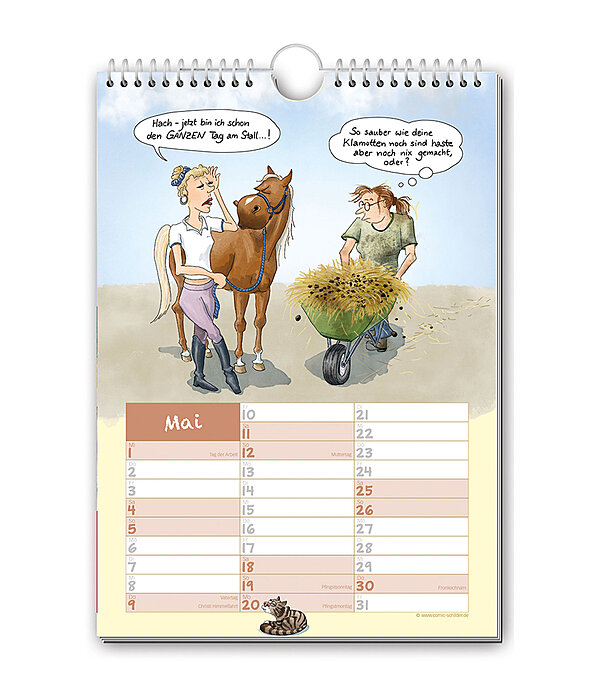Paardenverhalen: comic kalender 2022