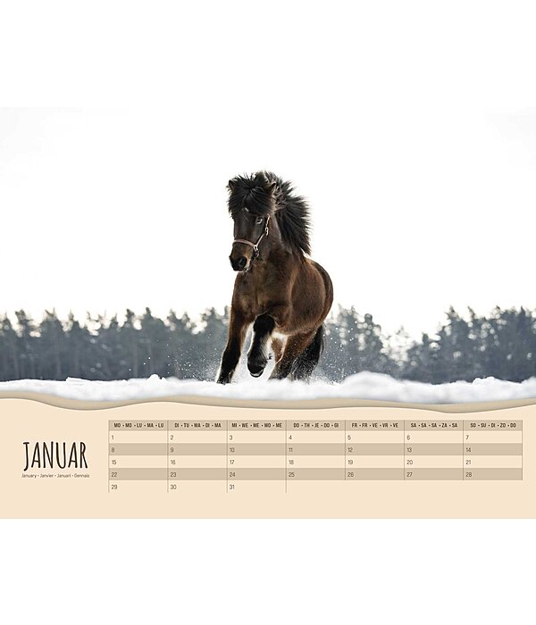 Pony kalender 2024