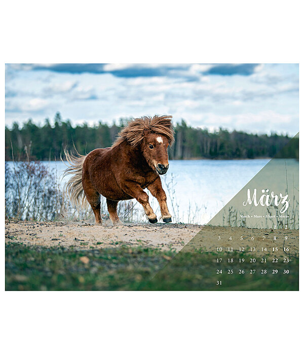 Pony kalender 2024