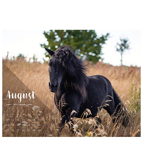 Pony kalender 2024
