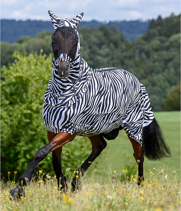 Zebra eczeemmasker Gibson