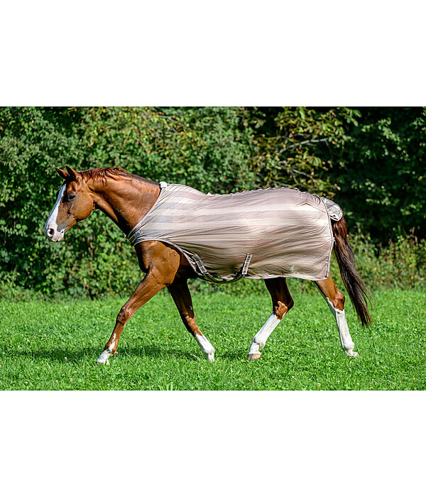 vliegenbeschermende Walker Economy Light