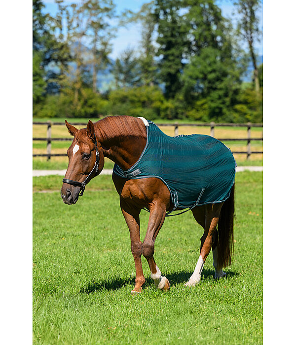 vliegenbeschermende Walker Economy Light