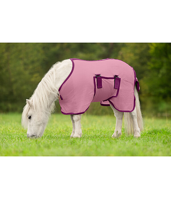 veulen- en minishetland vliegendeken Kubi Fly