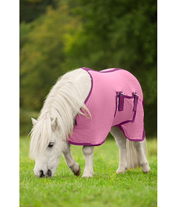 veulen- en minishetland vliegendeken Kubi Fly