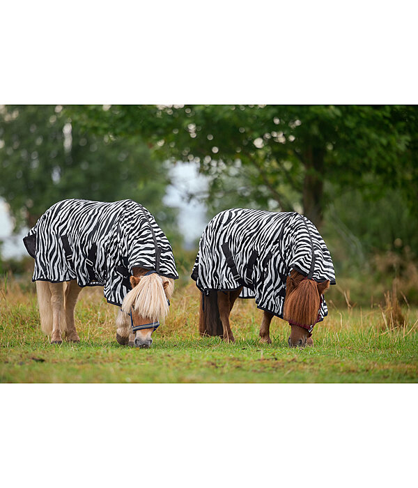 zebra vliegendeken Combo