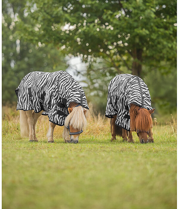 zebra vliegendeken Combo
