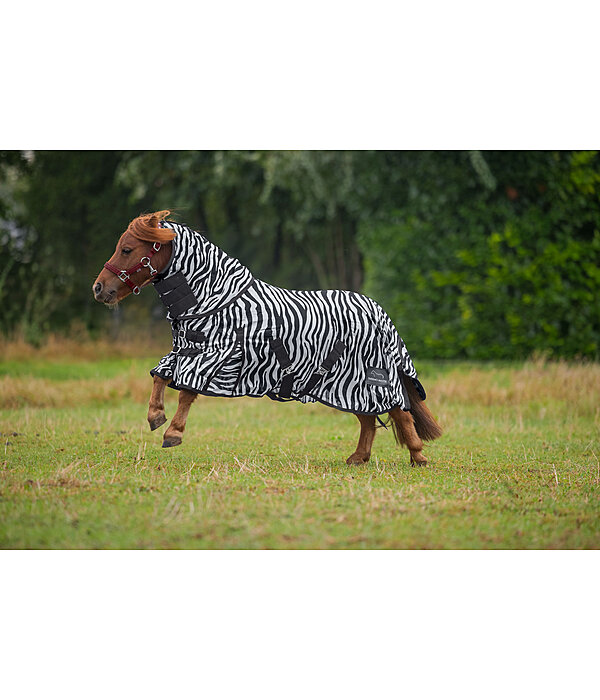 zebra vliegendeken Combo