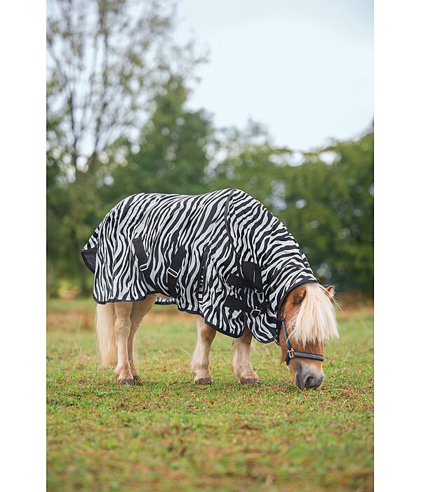 zebra vliegendeken Combo