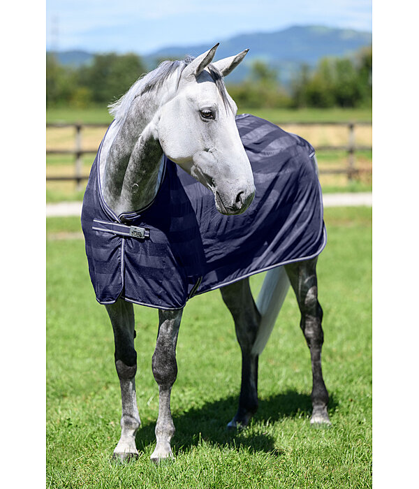 vliegendeken Economy Light